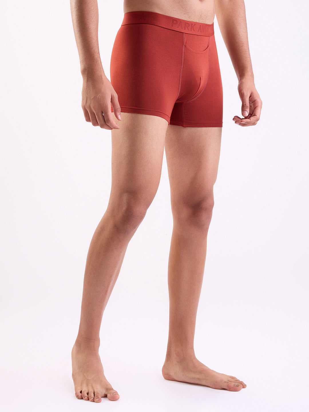 Park Avenue Marron Trunk