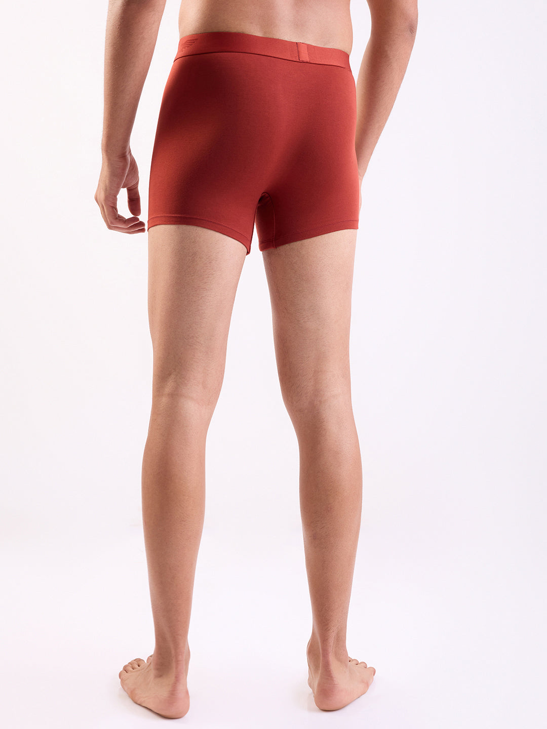 Park Avenue Marron Trunk