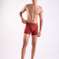 Park Avenue Marron Trunk