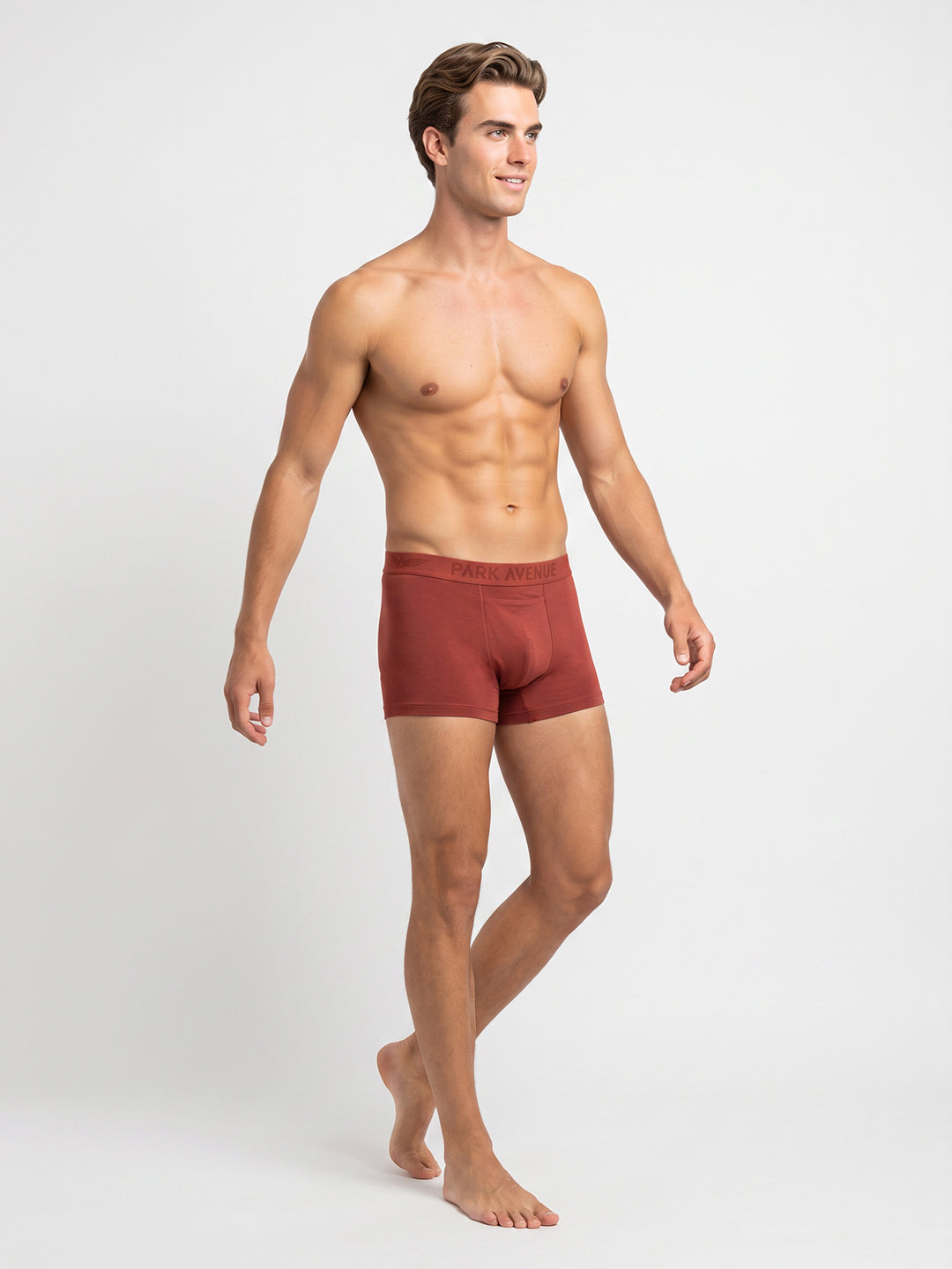 Park Avenue Men Marron Modal Blend Trunk