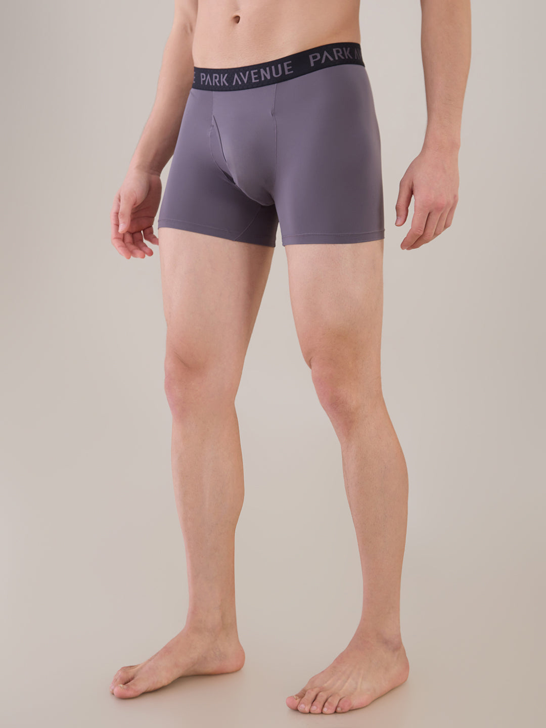 Park Avenue Grey Trunk
