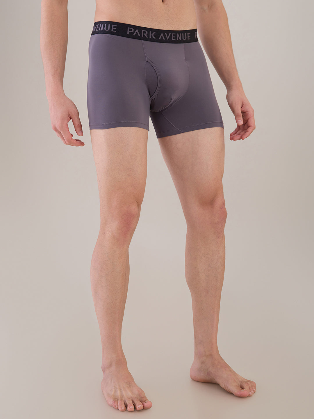 Park Avenue Grey Trunk