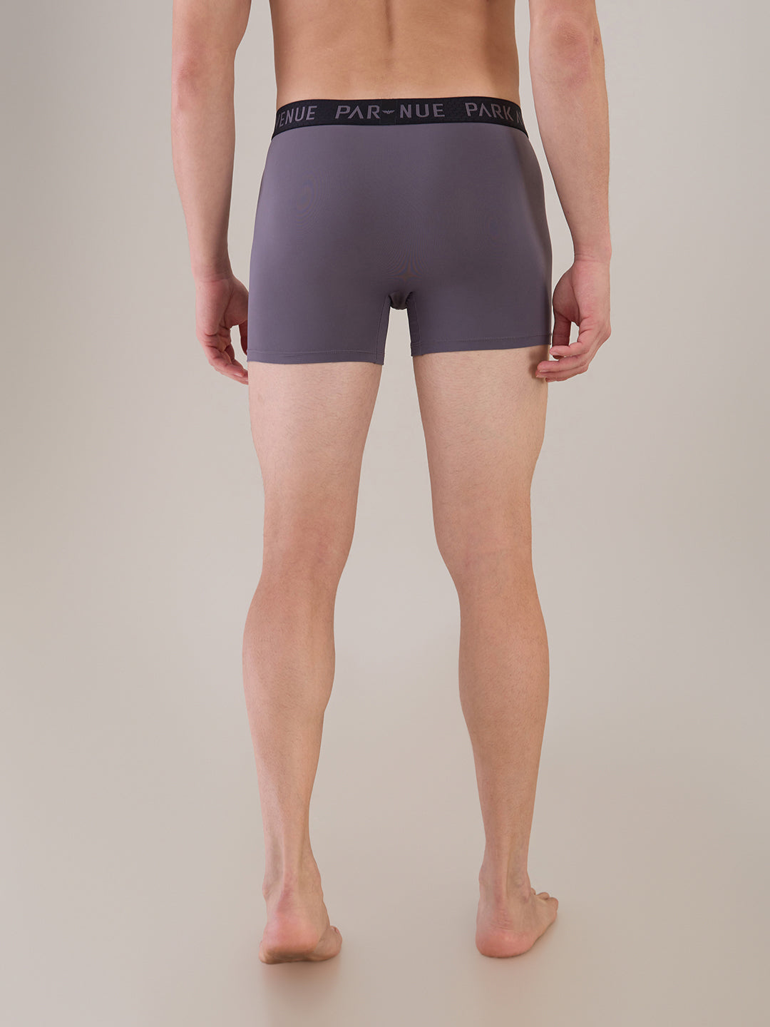 Park Avenue Grey Trunk