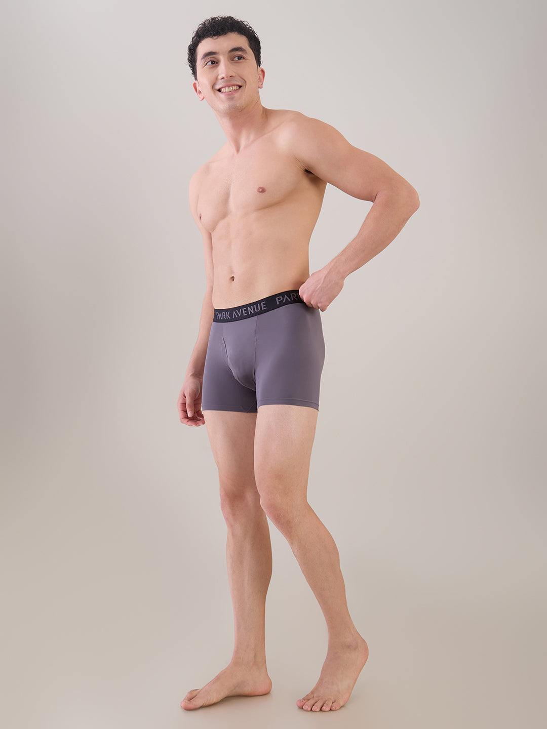 Park Avenue Grey Trunk