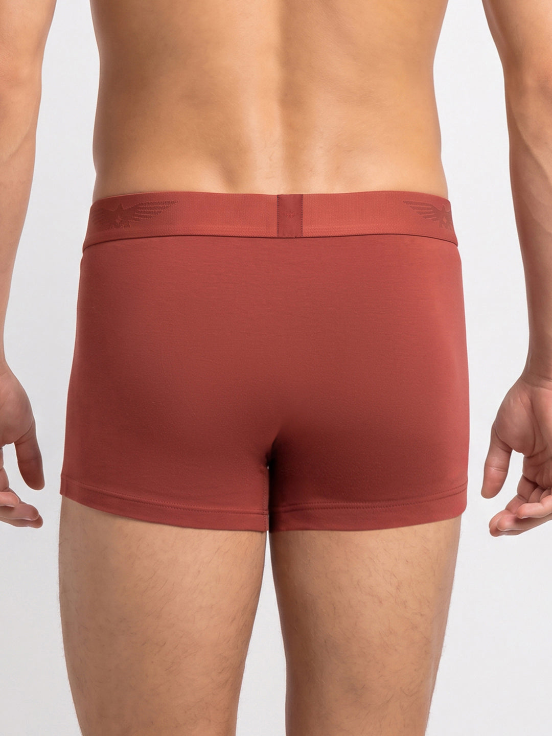 Park Avenue Men Marron Modal Blend Trunk