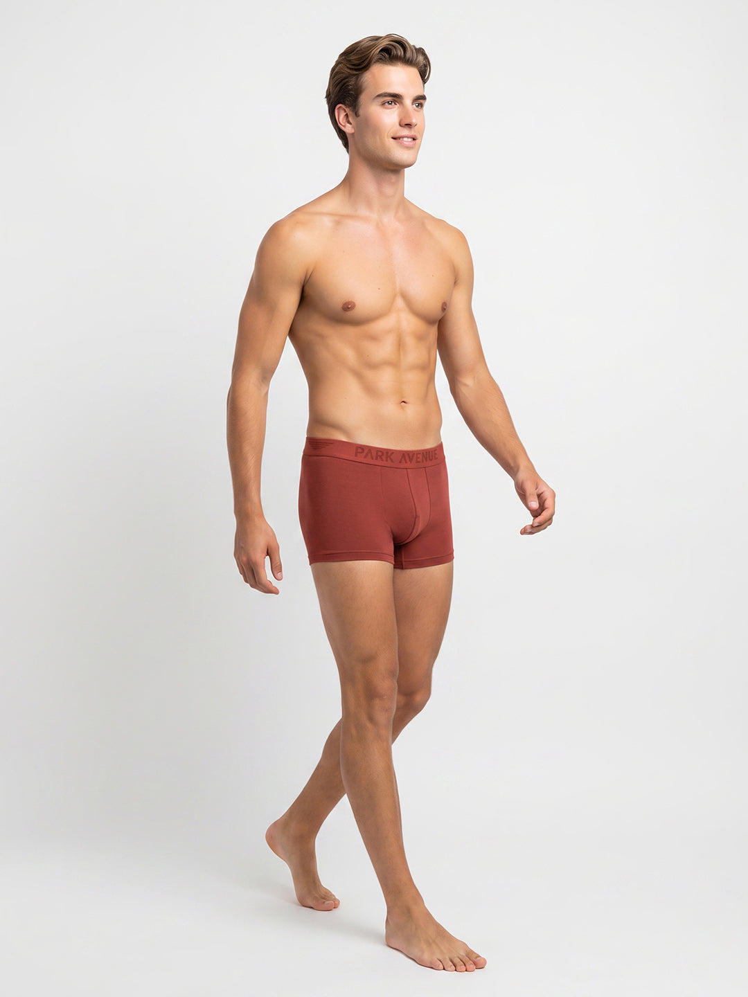 Park Avenue Men Marron Modal Blend Trunk