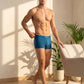 Park Avenue Men Blue Sup Blend Trunk