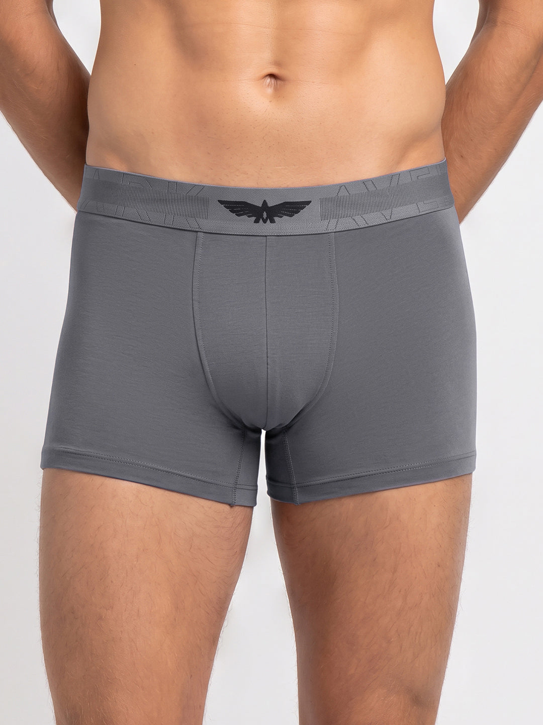 Park Avenue Men Grey Sup Blend Trunk