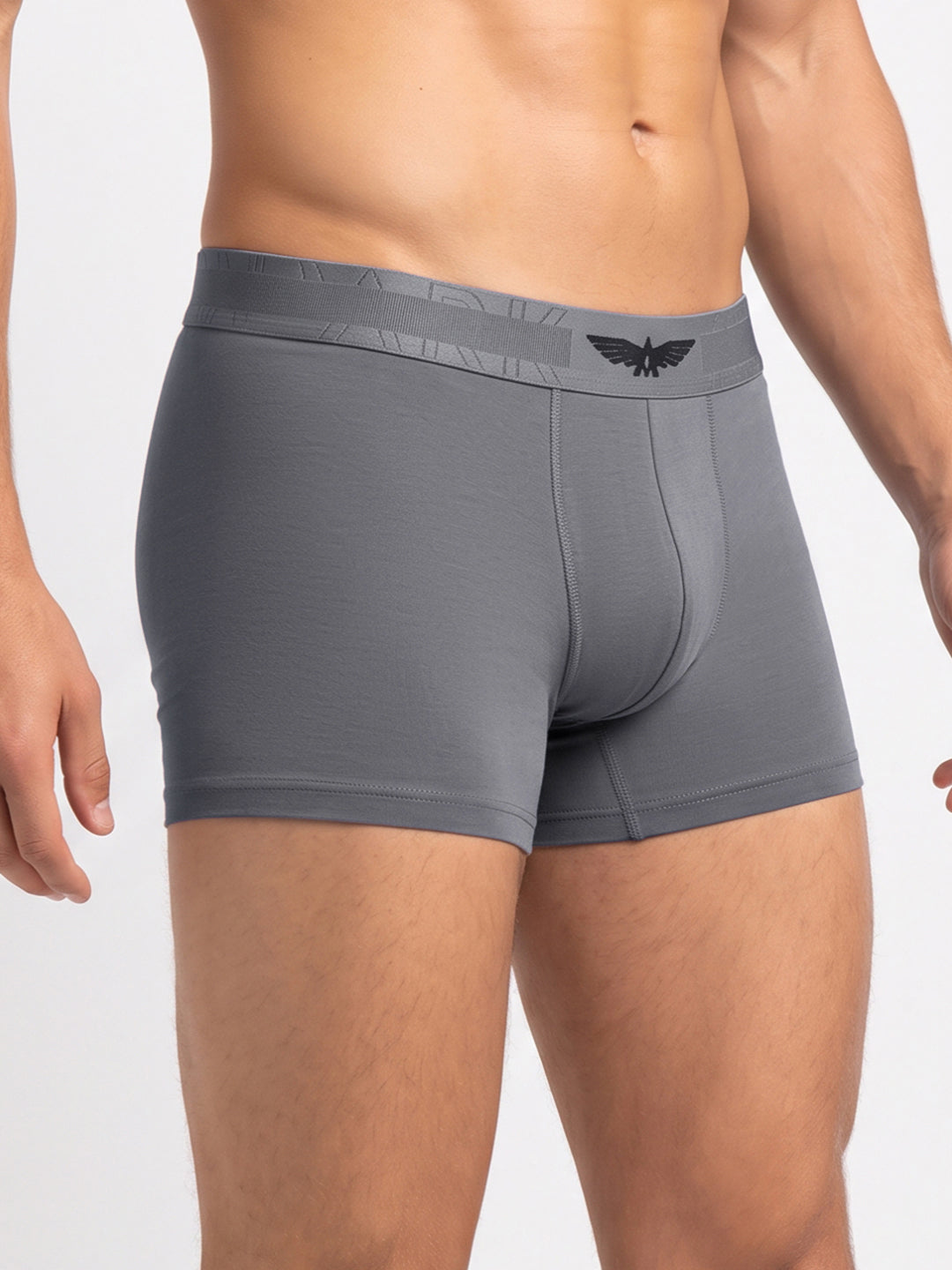 Park Avenue Men Grey Sup Blend Trunk