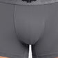 Park Avenue Men Grey Sup Blend Trunk