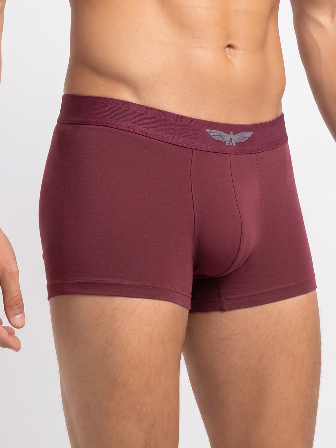 Park Avenue Men Marron Sup Blend Trunk