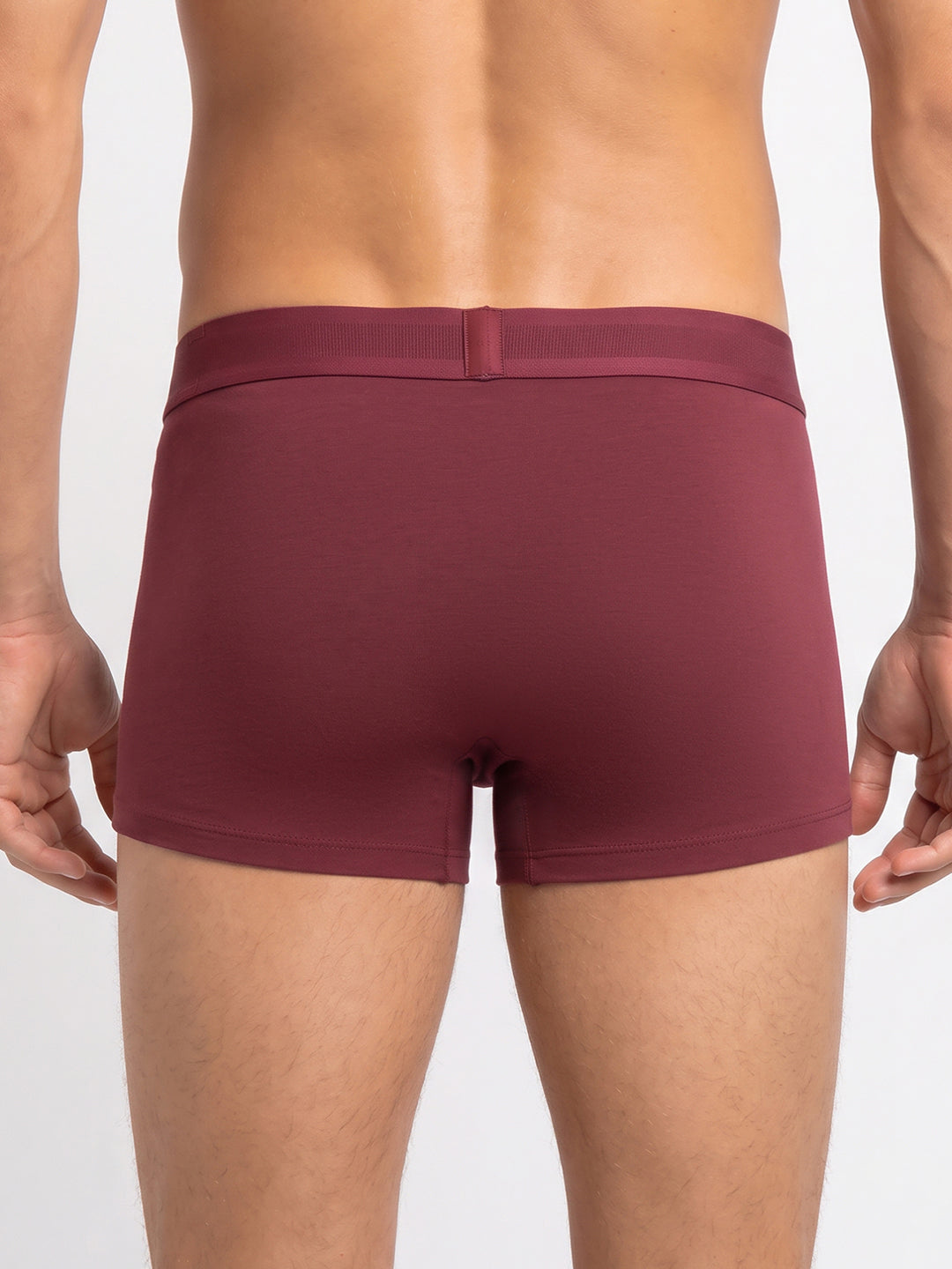 Park Avenue Men Marron Sup Blend Trunk