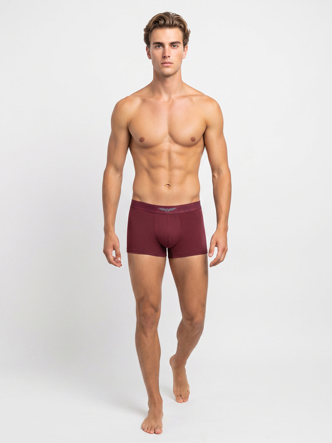 Park Avenue Men Marron Sup Blend Trunk
