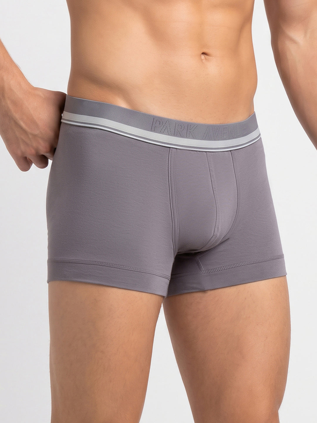 Park Avenue Men Grey Modal Blend Trunk