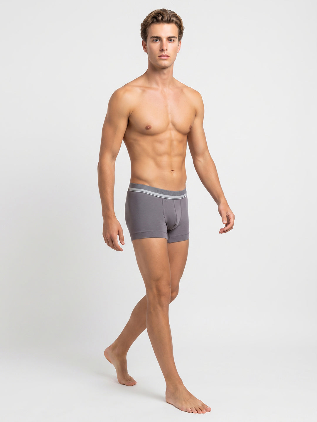Park Avenue Men Grey Modal Blend Trunk