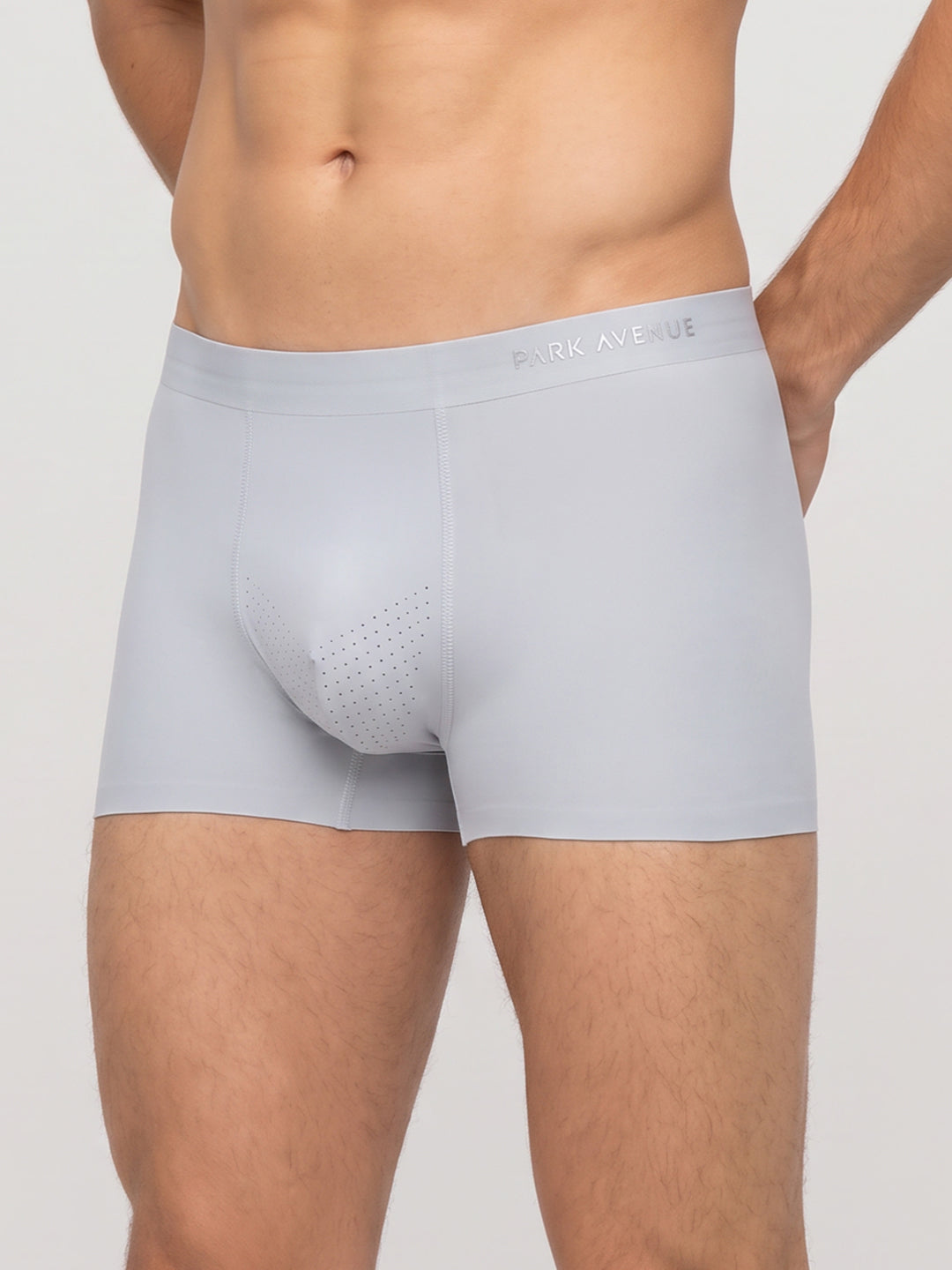 Park Avenue Men Grey Polyamide Blend Trunk
