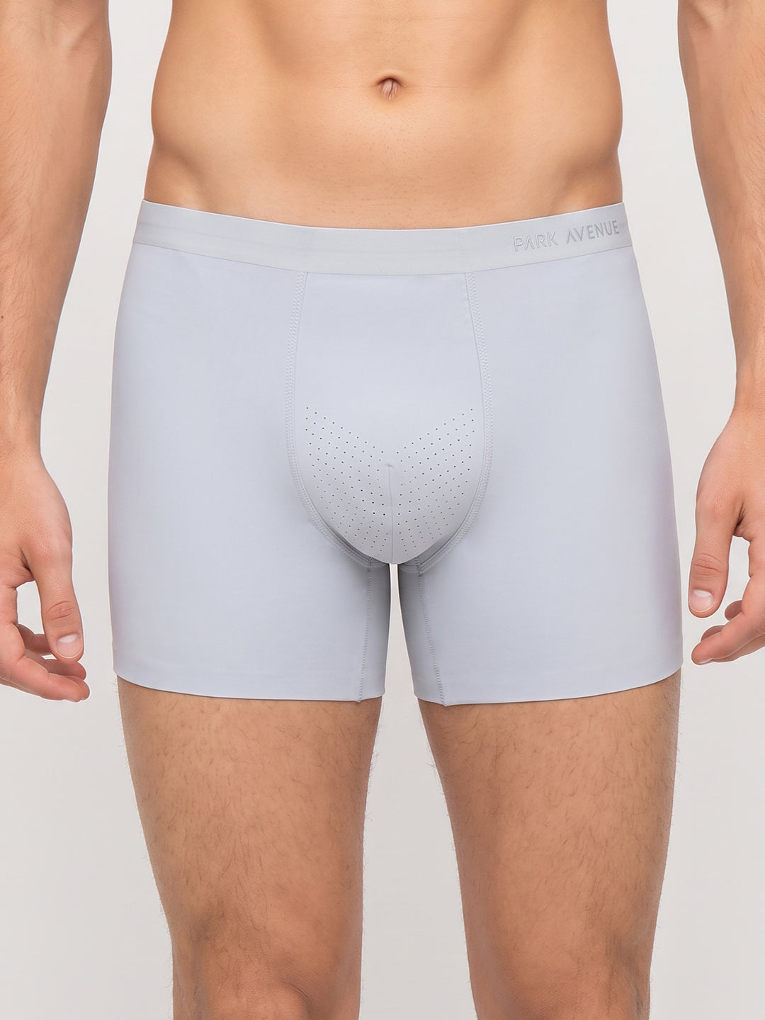 Park Avenue Men Grey Polyamide Blend Trunk