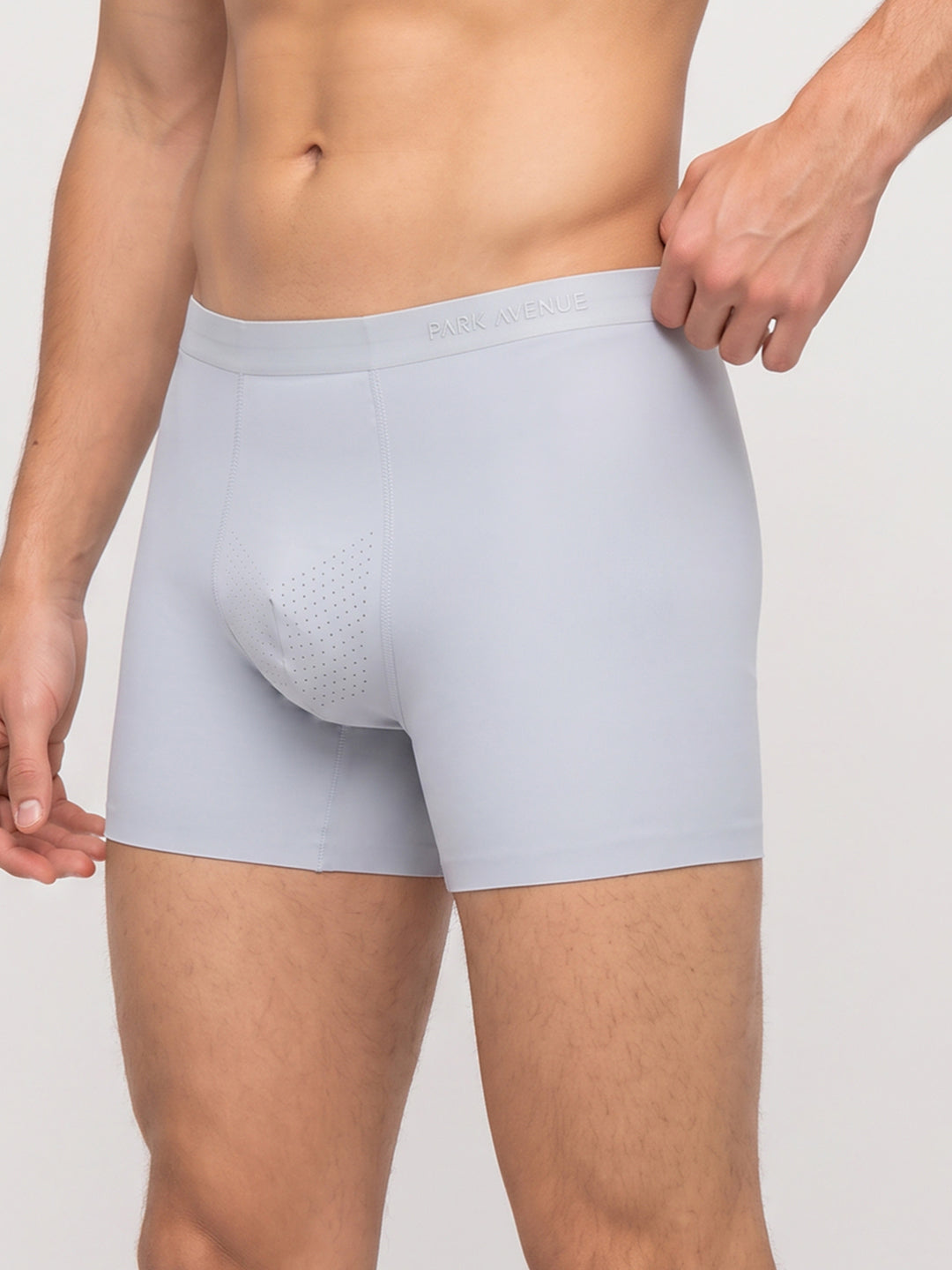 Park Avenue Men Grey Polyamide Blend Trunk