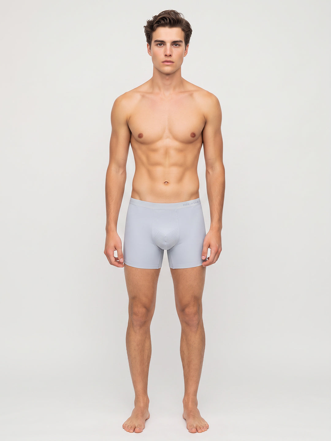 Park Avenue Men Grey Polyamide Blend Trunk