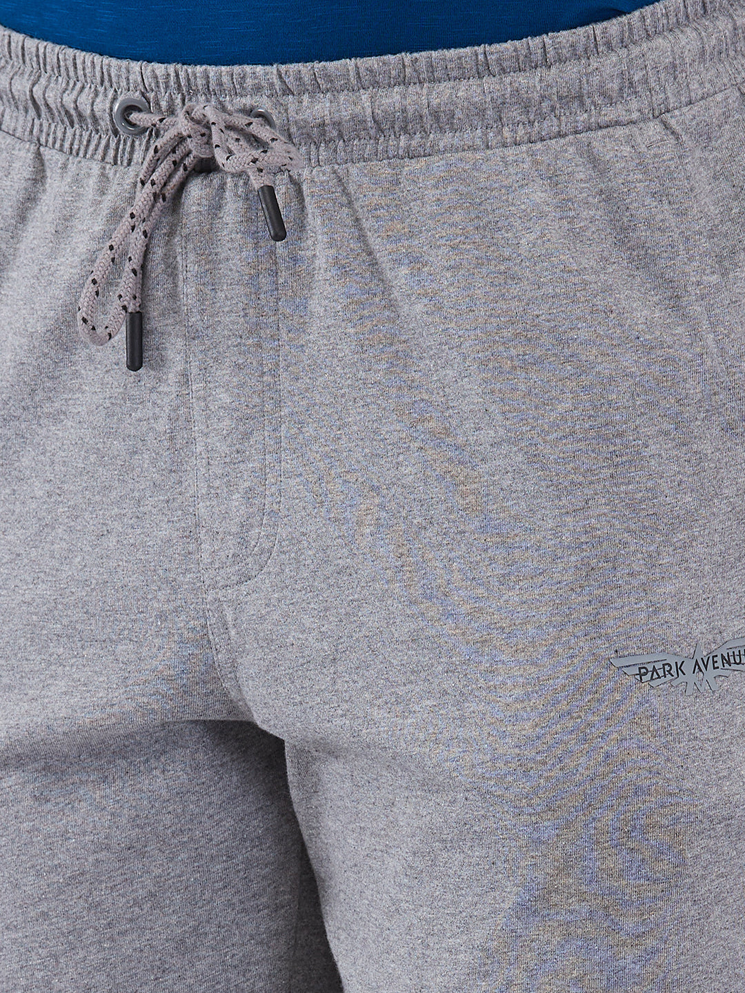 Park Avenue Men Grey Trackpant