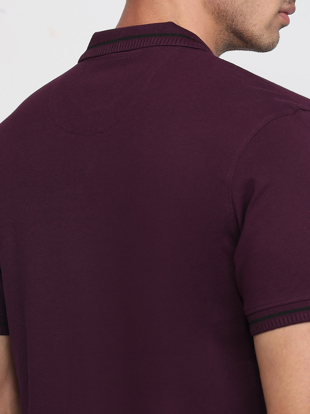 Raymond Men Violet Modern Fit Solid Polo Neck Collar T-shirt