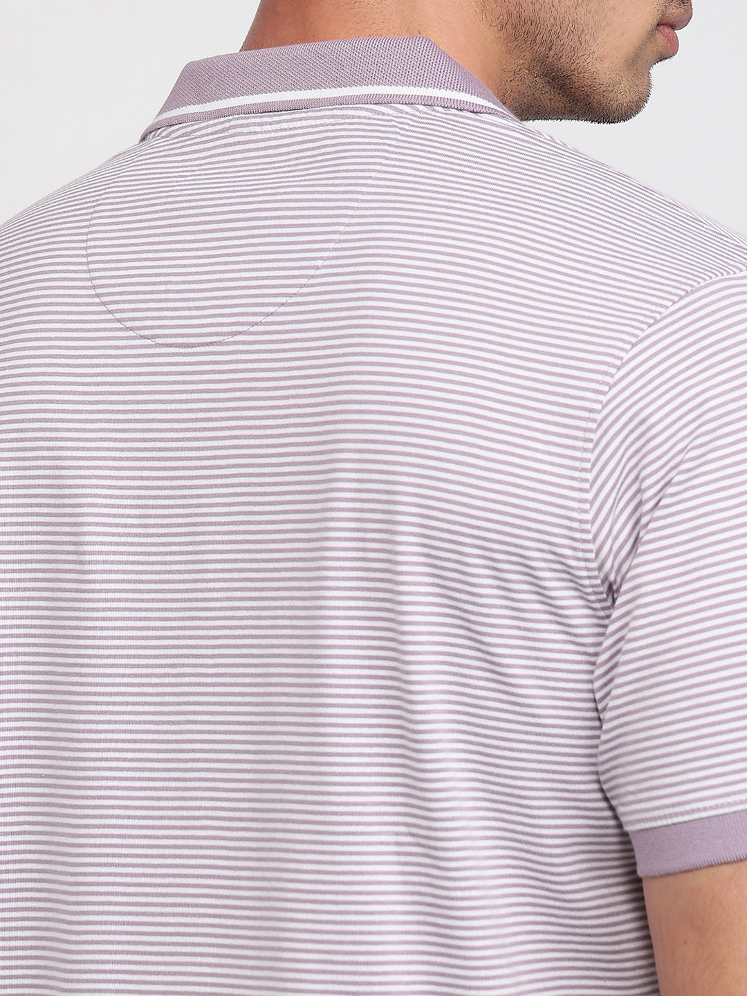 Raymond Men Violet Modern Fit Stripe Polo Neck Collar T-shirt