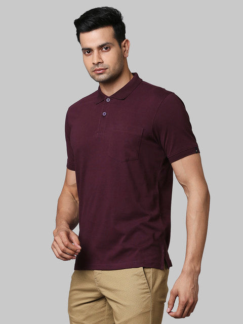 Raymond Maroon T-Shirt