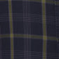 Raymond Blue Checks Slim Fit Cotton Casual Shirt