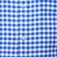 Raymond Men Blue Slim Fit Checks Regular Collar Shirt