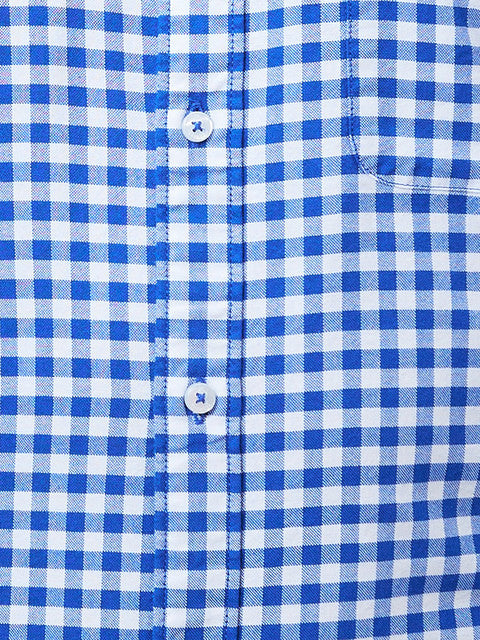 Raymond Men Blue Slim Fit Checks Regular Collar Shirt