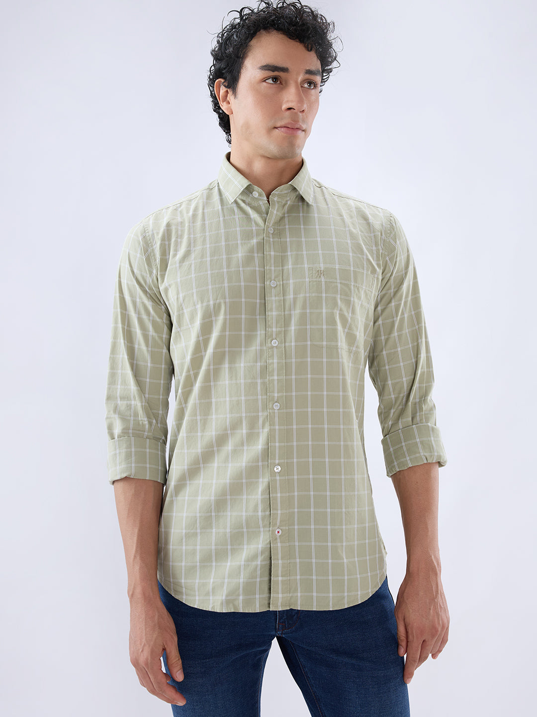 Raymond Green Casual Shirt