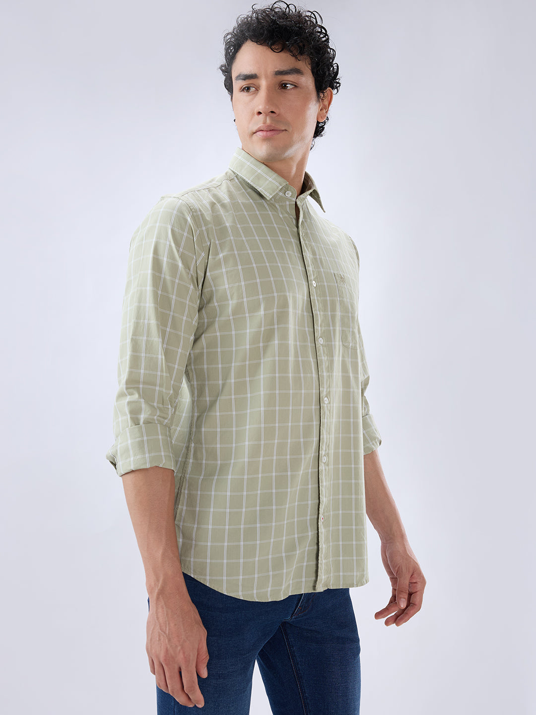 Raymond Green Casual Shirt