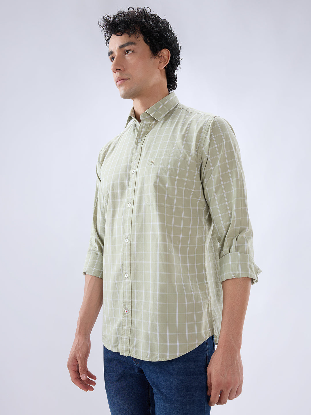 Raymond Green Casual Shirt
