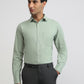 Raymond Green Shirt 