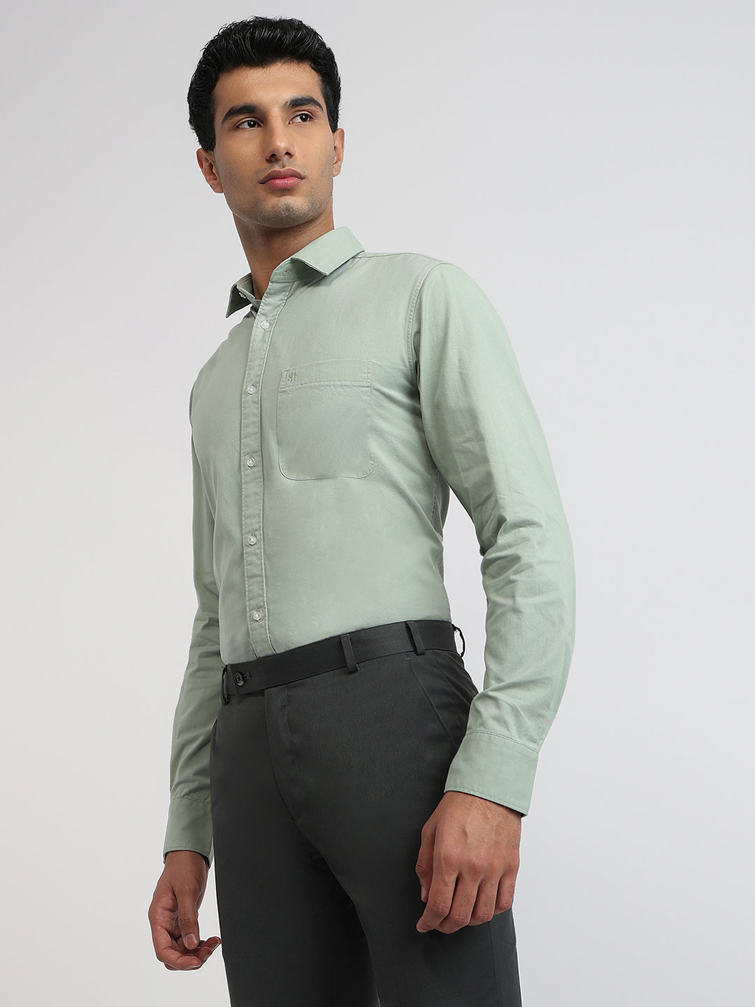 Raymond Green Shirt 