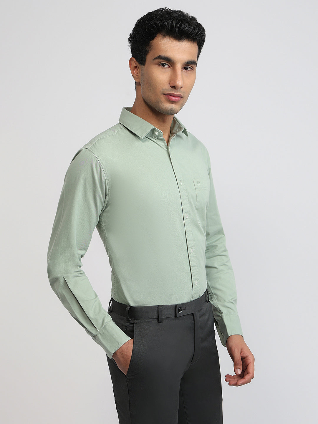 Raymond Green Shirt 