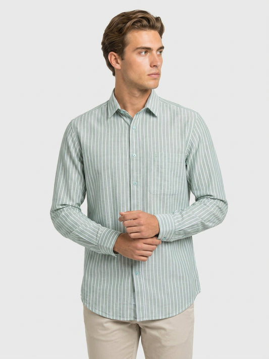 Raymond Green Shirt 