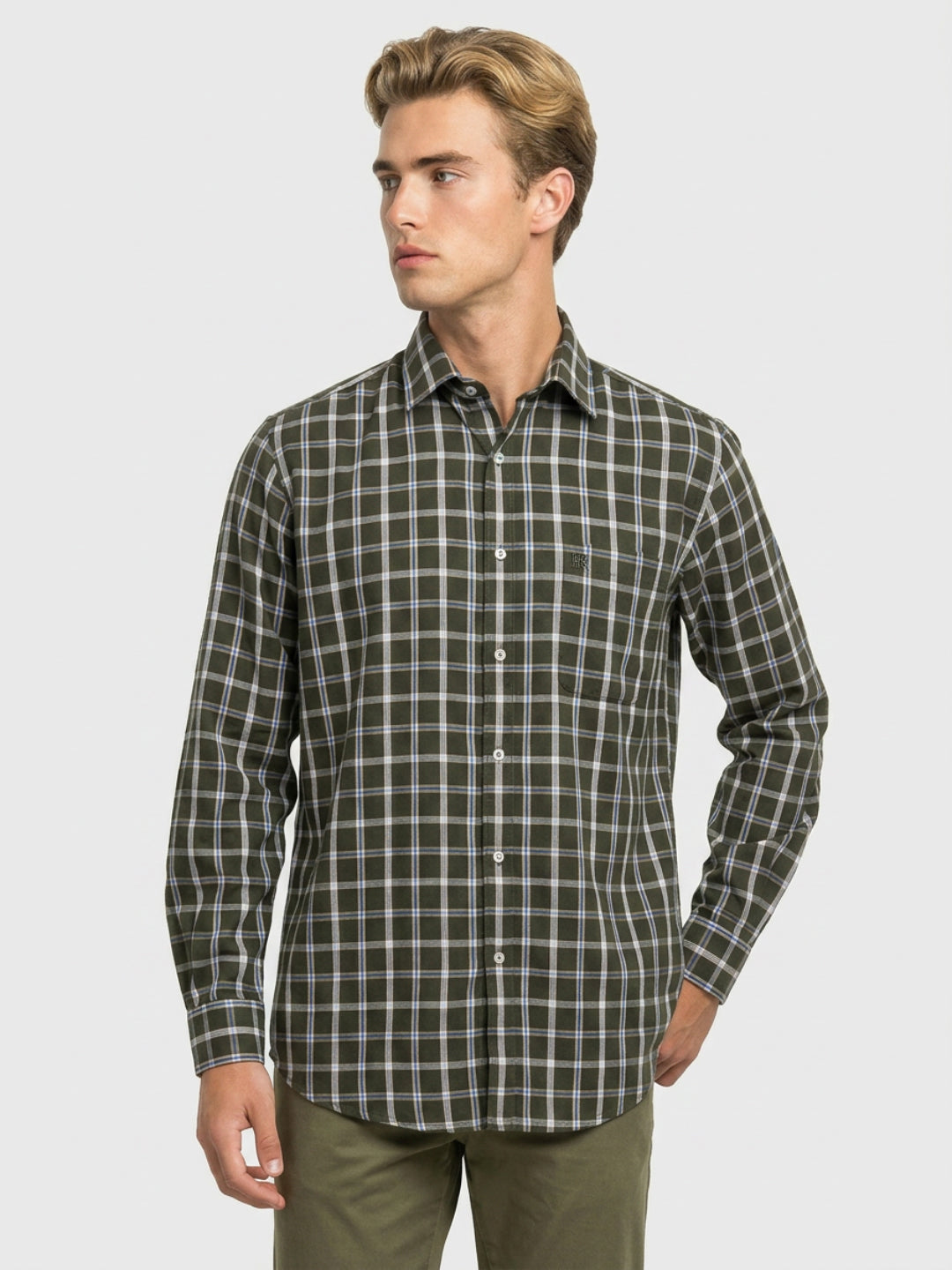 Raymond Green Shirt 