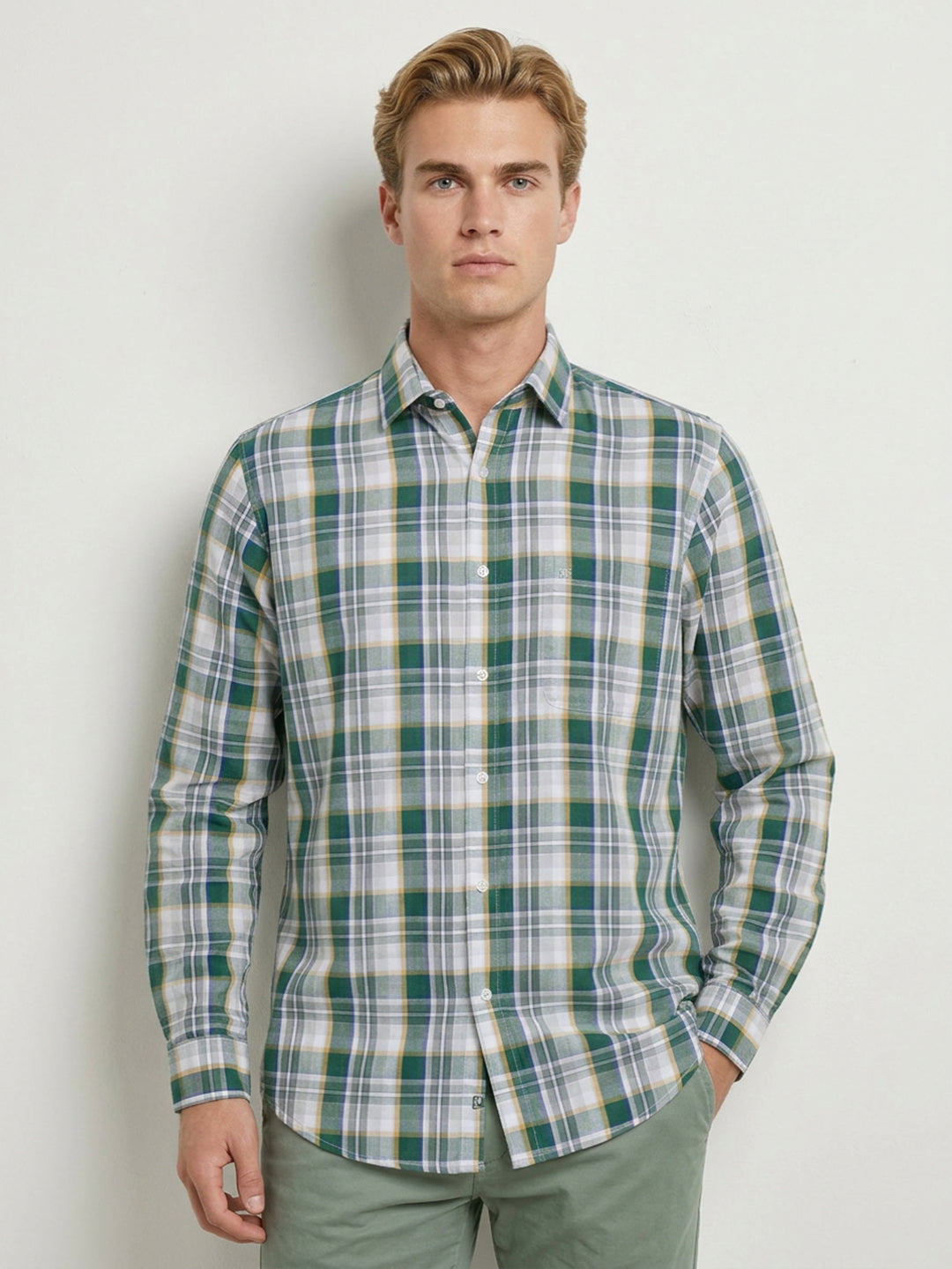 Raymond Green Shirt 
