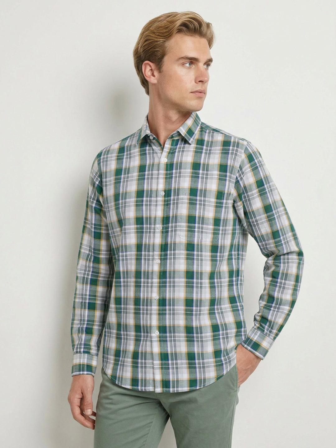 Raymond Green Shirt 