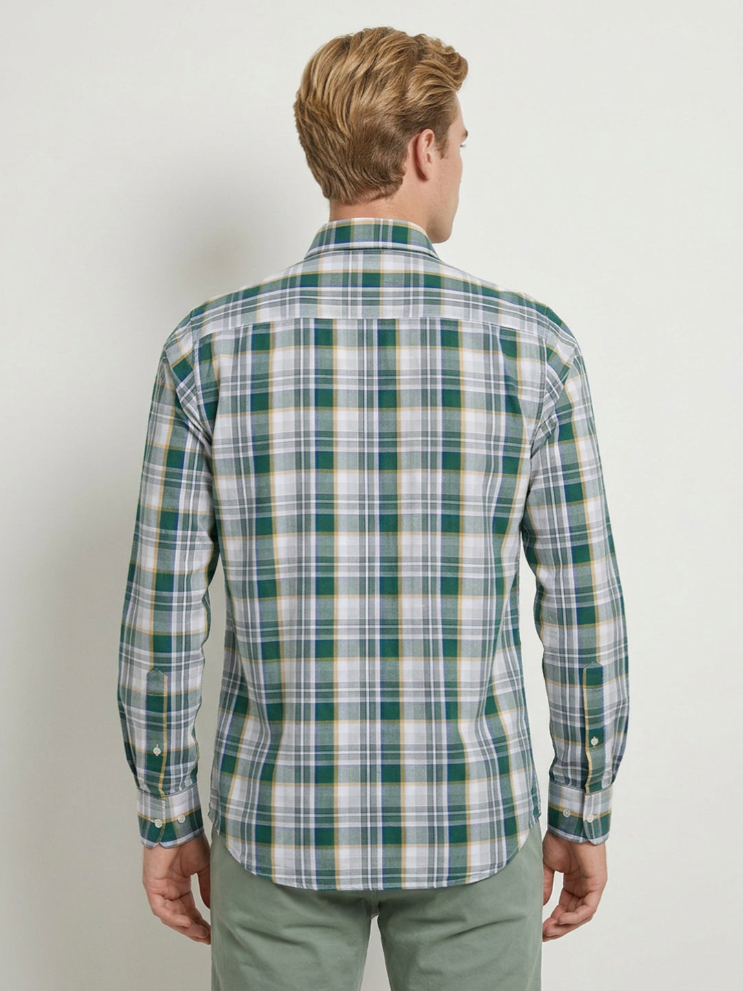 Raymond Green Shirt 