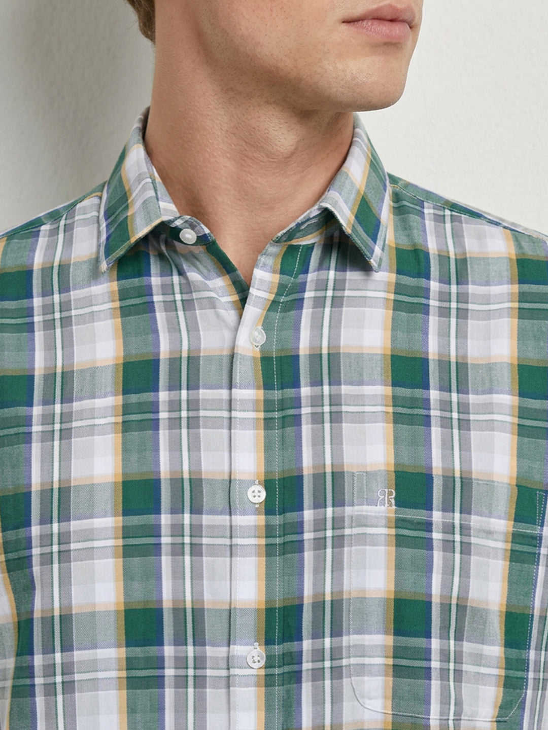 Raymond Green Shirt 