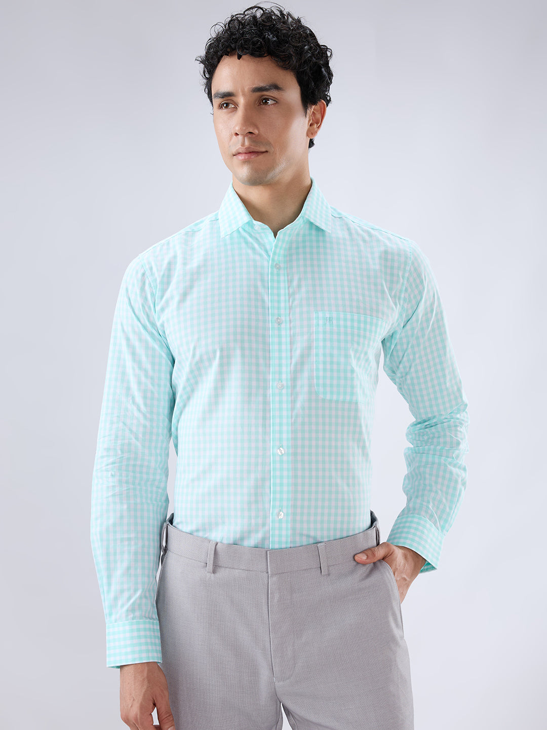 Raymond Green Casual Shirt