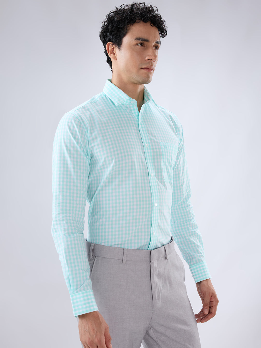 Raymond Green Casual Shirt