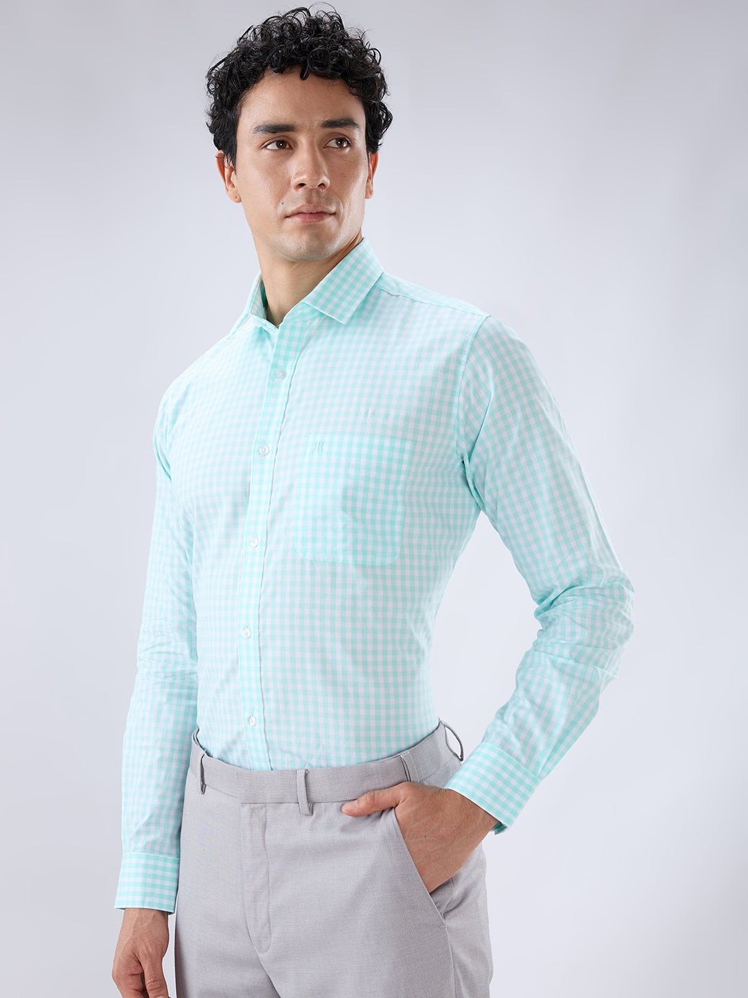 Raymond Green Casual Shirt