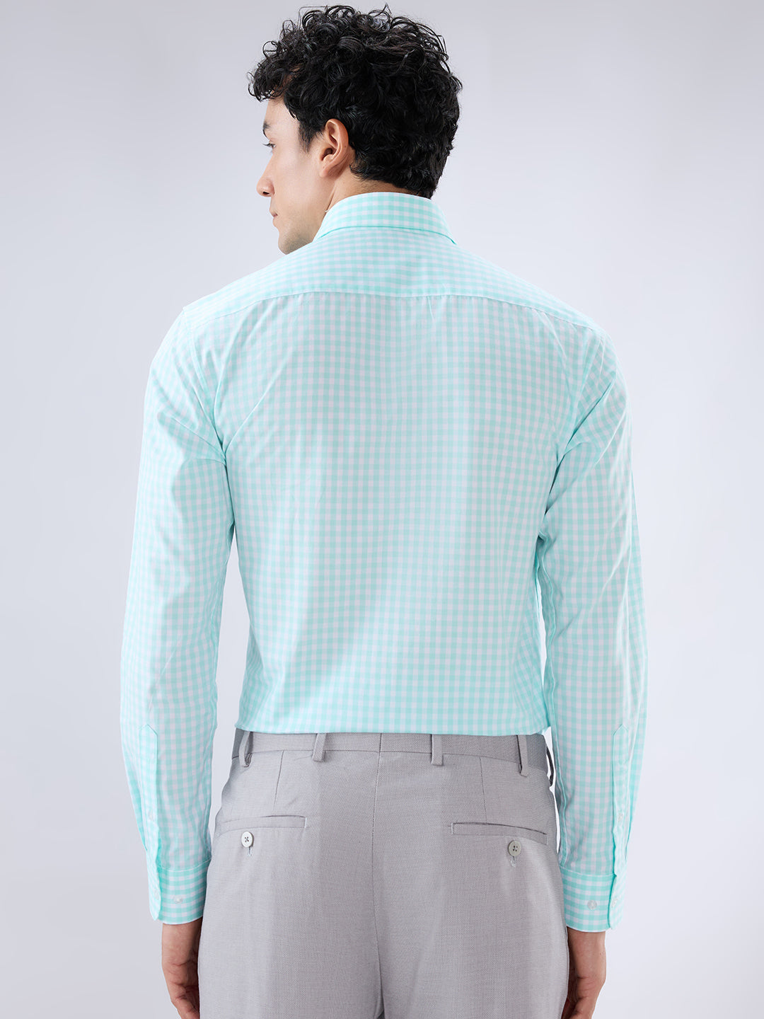 Raymond Green Casual Shirt