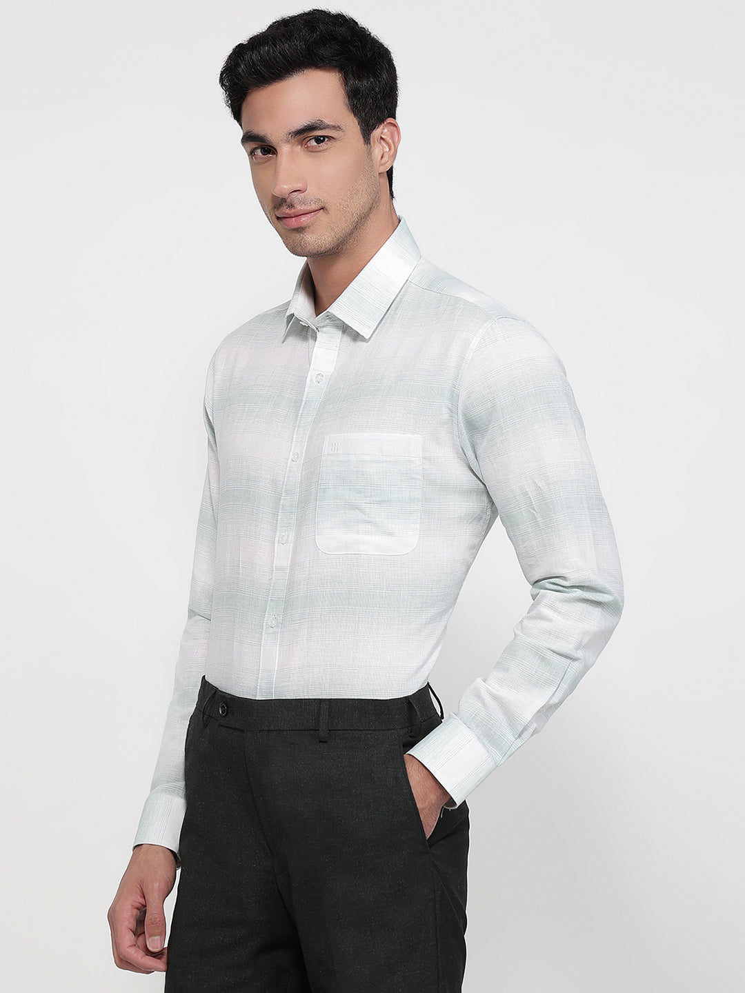 Raymond Green Casual Shirt