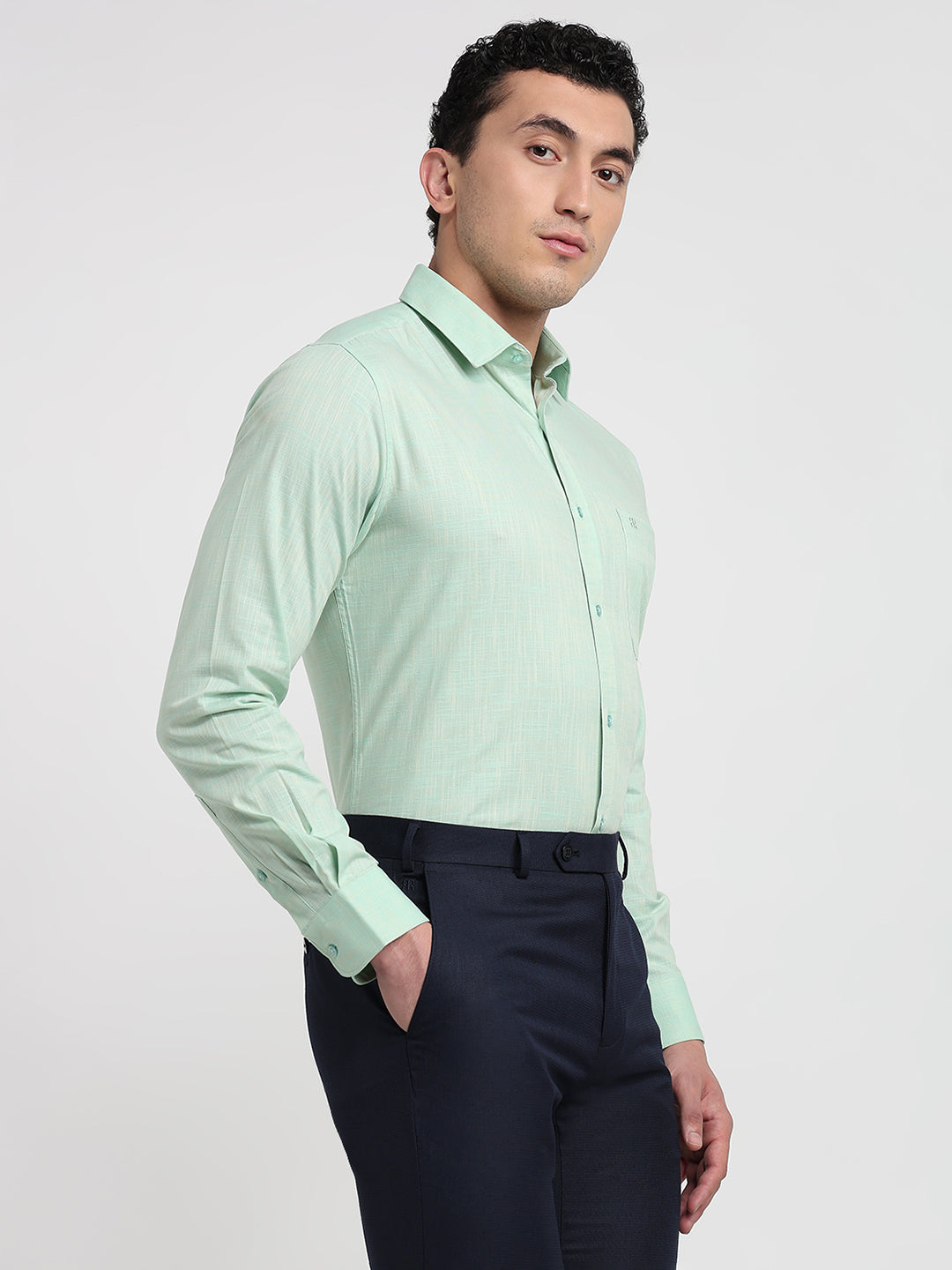 Raymond Green Shirt 