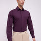 Raymond Violet Shirt 