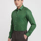 Raymond Green Shirt 